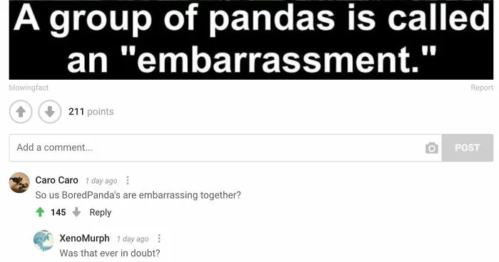 Hey Pandas, Share Your Favorite Bored Panda Comments (Closed)