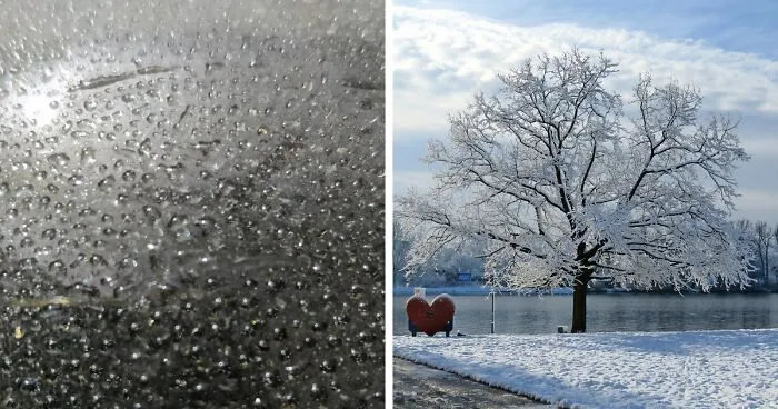 Hey Pandas, Share Your Best Photos Taken In January (Closed)