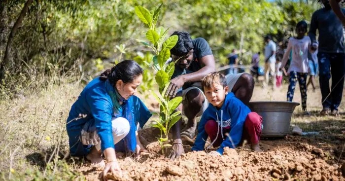 India's Green Success Story: Setting A Guinness World Record For Planting 66 Million Trees In Just 12 Hours