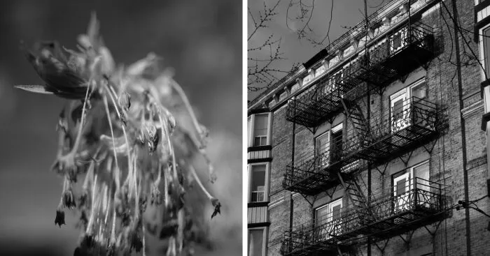 The Intersection Of Photography And Mindfulness (16 Pics)