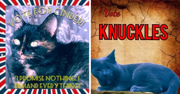 Hey Pandas, Make A Poster Of Your Pet If They Were Running For Office