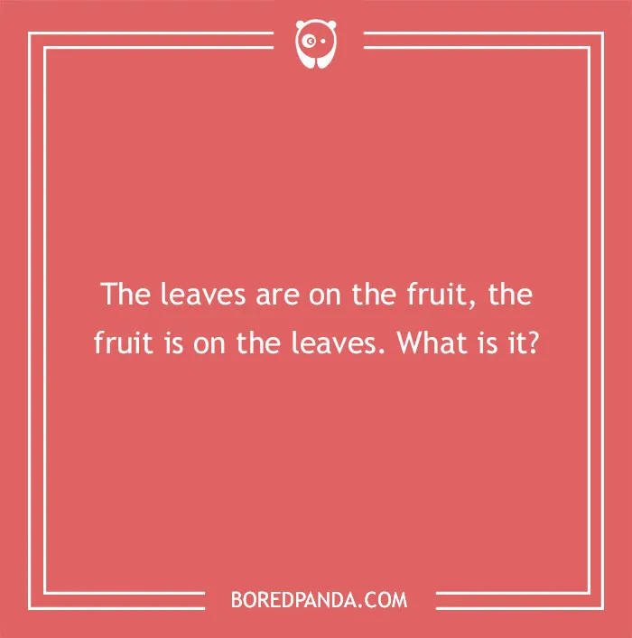 96 Food Riddles That Might Satisfy Your Appetite For A Good Brain Teaser