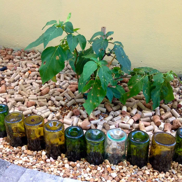 Wine Bottle Garden Edging