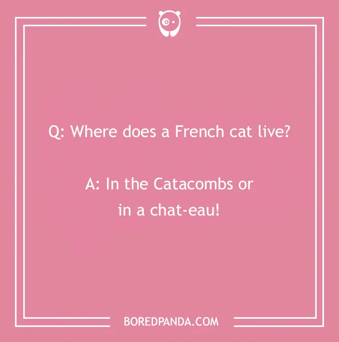French joke asking where a French cat lives, punchline about catacombs and chateaux.