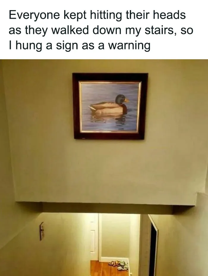 50 Top-Quality Bird Memes To Make You Grin Today, As Shared By This Facebook Page