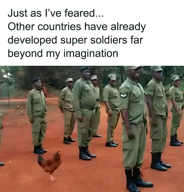 50 Top-Quality Bird Memes To Make You Grin Today, As Shared By This Facebook Page