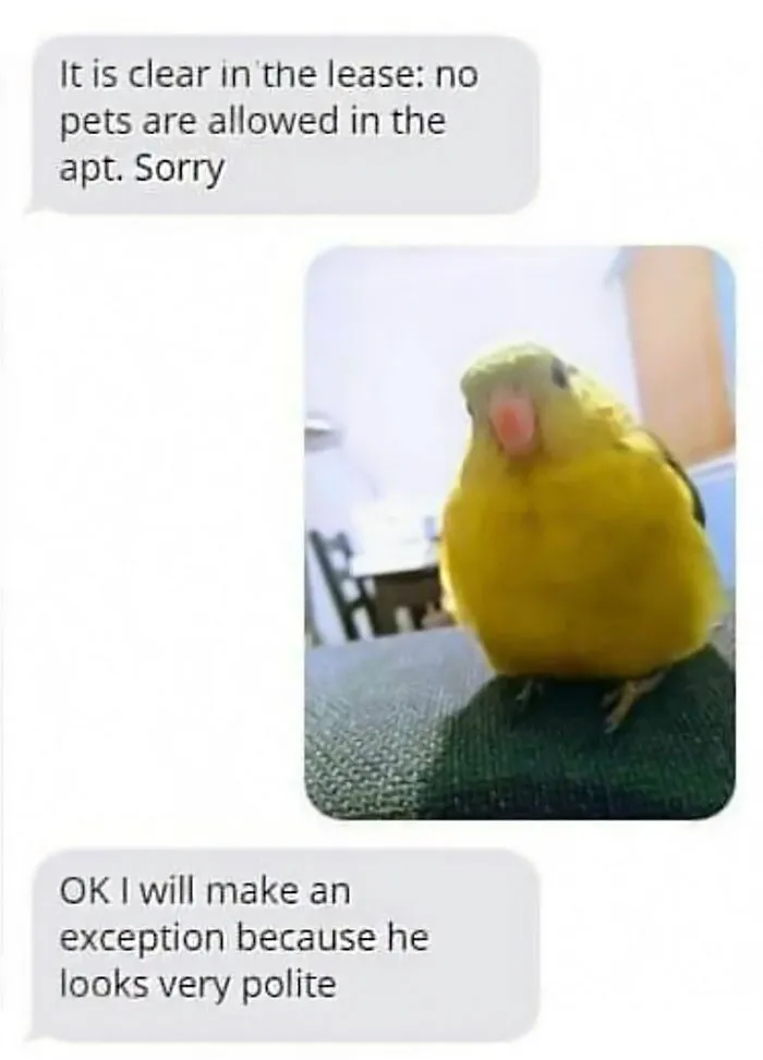 50 Top-Quality Bird Memes To Make You Grin Today, As Shared By This Facebook Page