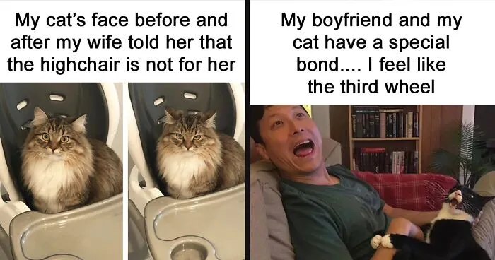 Your Daily Dose Of Kitty Content, Courtesy Of 'Cattos Being Cattos' (50 Posts)