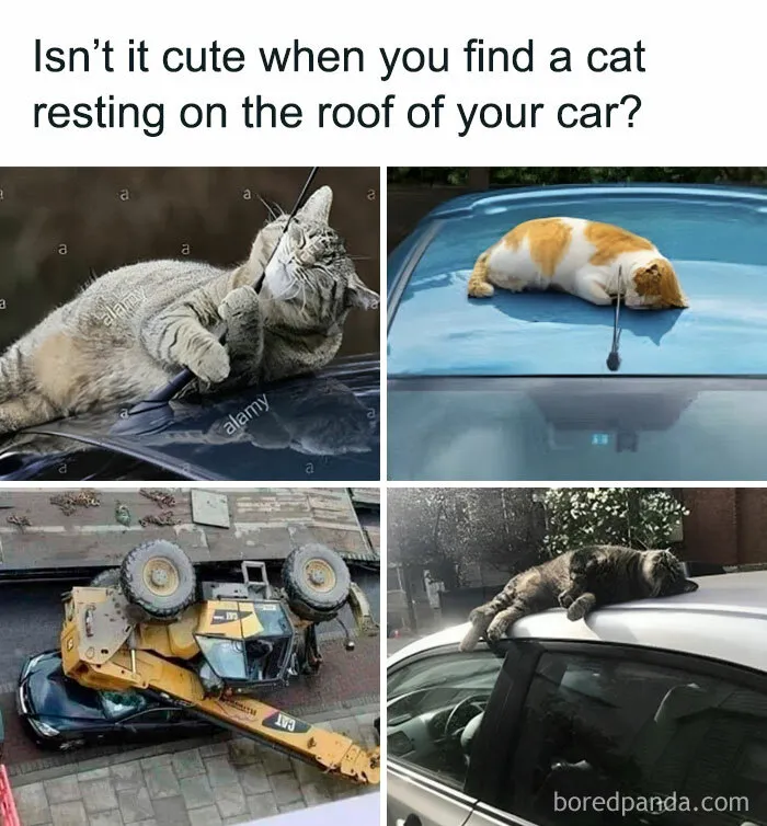“Daily Humor Memes”: 40 Of The Best Posts From This Page Dedicated To Making People Smile