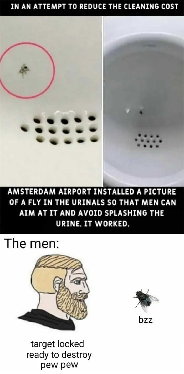 “Daily Humor Memes”: 40 Of The Best Posts From This Page Dedicated To Making People Smile