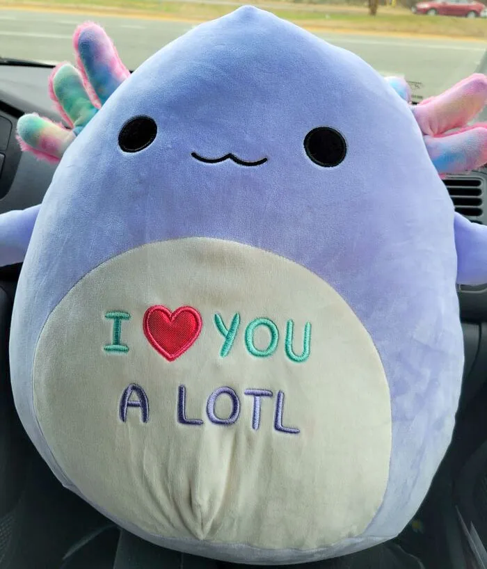 I Found The Last Valentine's Day Toy At My Local Walmart, And I Love It