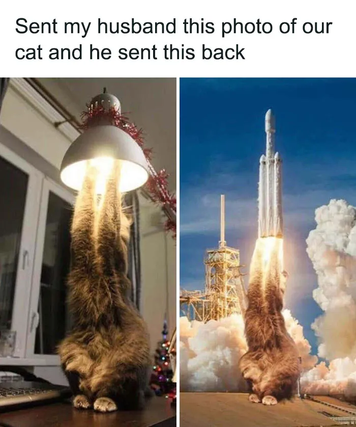 Wholesome Memes