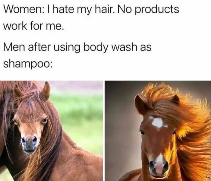 50 Of The Funniest Memes From “Men’s Humor” That Women Can Enjoy Too (New Pics)