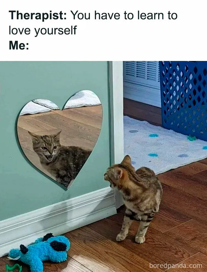 ‘How Mental’: 50 Funny Memes To Send Your Therapist