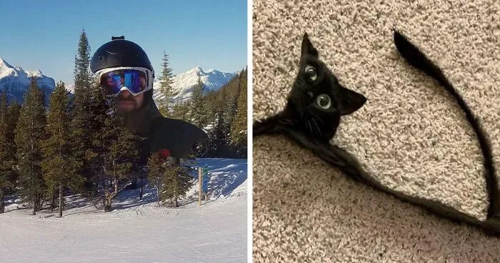 35 Times People Tried To Take Panoramic Pics But Captured Glitches In The Matrix Instead