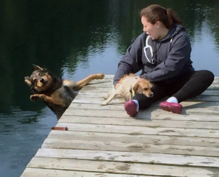Ni el perro se lo esperaba 