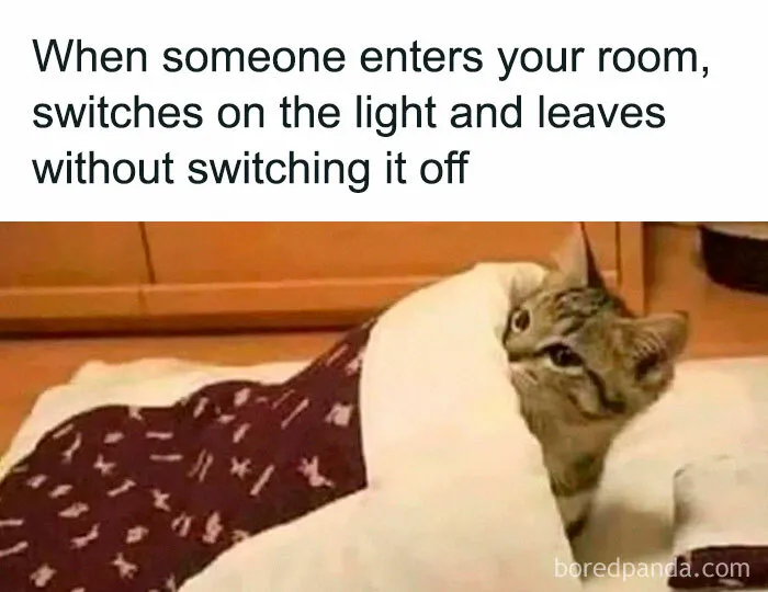 40 Hilarious Posts From "Funniest Memes" That Might Make You Chuckle