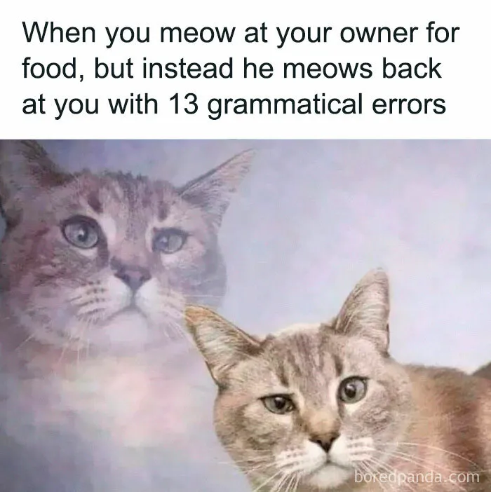 40 Hilarious Posts From "Funniest Memes" That Might Make You Chuckle