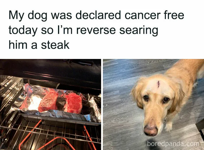 40 Hilarious Posts From "Funniest Memes" That Might Make You Chuckle