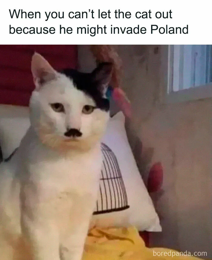 40 Hilarious Posts From "Funniest Memes" That Might Make You Chuckle