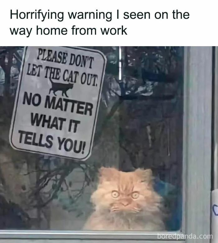 40 Hilarious Posts From "Funniest Memes" That Might Make You Chuckle