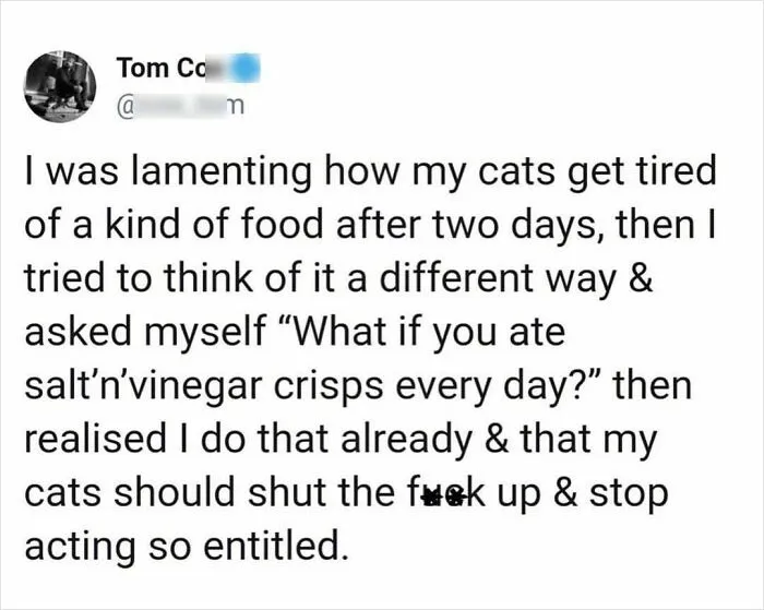 50 Hilarious And Relatable Memes Dedicated To All Things Feline