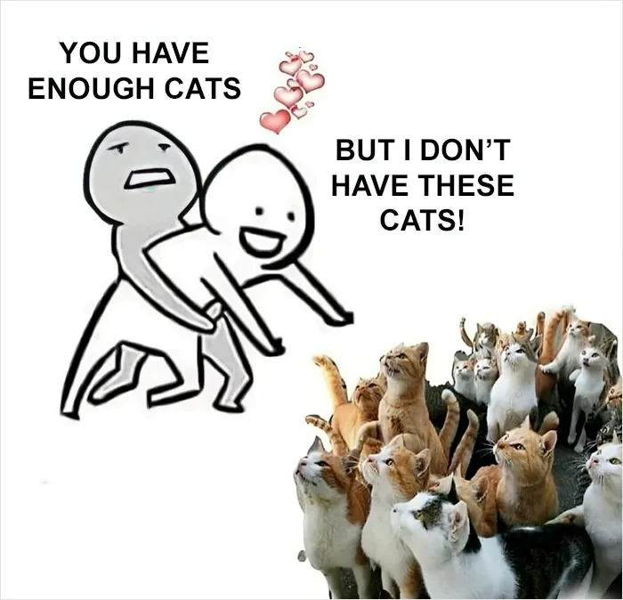 50 Hilarious And Relatable Memes Dedicated To All Things Feline