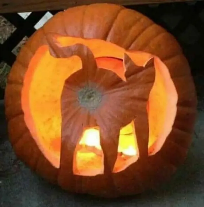 La calabaza que todos necesitamos en Halloween