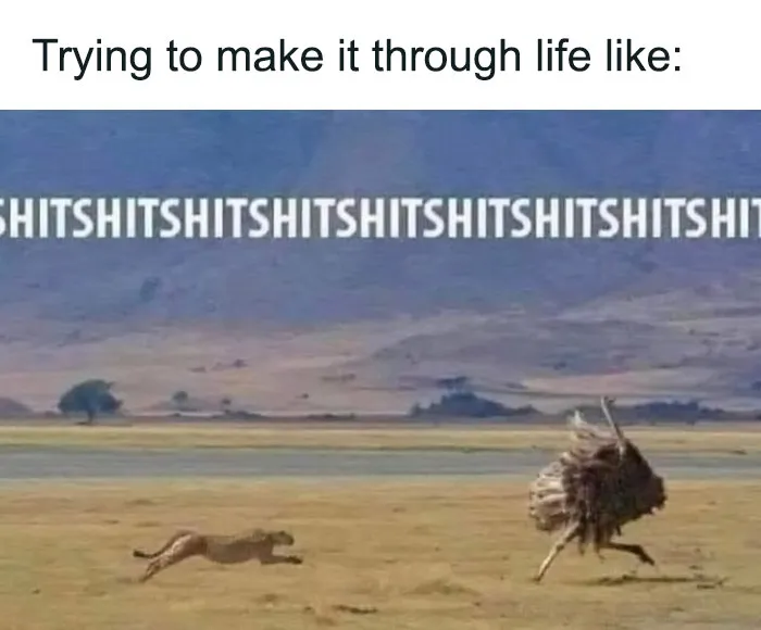 50 Memes And Pics That Are So Sad It’s Funny