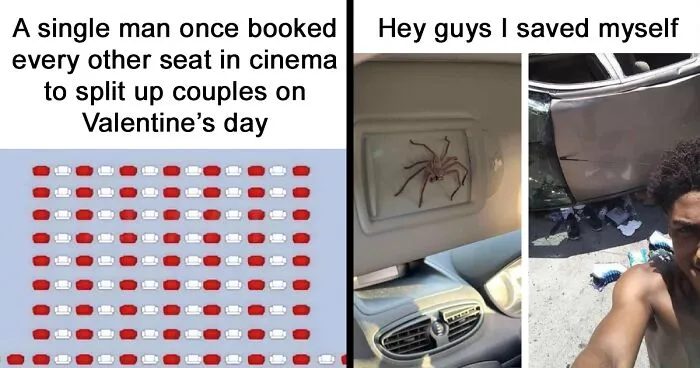 This Page Is Dedicated To Hilarious And Random Memes, Here Are The 50 Best Ones
