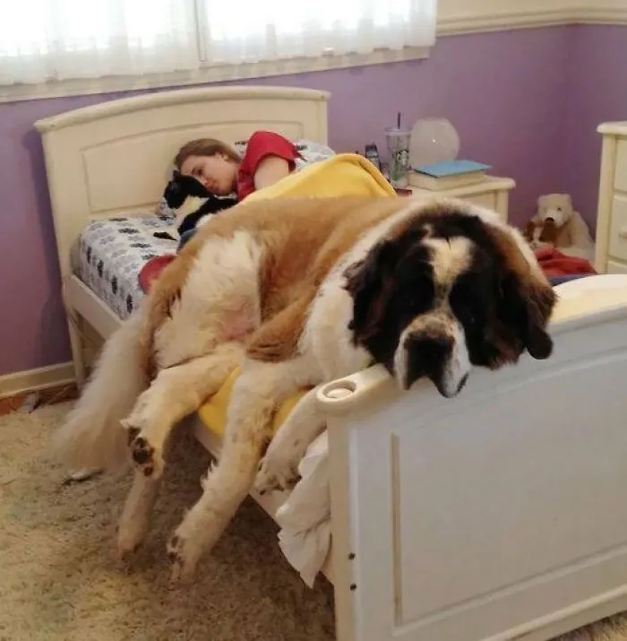 What Are You Talking About? I Fit Perfectly