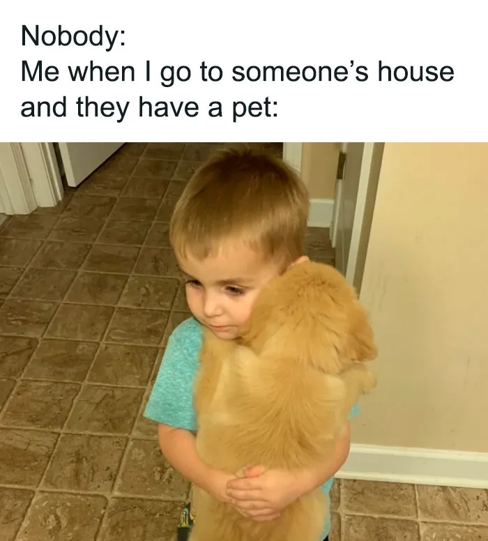 35 Of The Funniest Posts From The “Meme Queen” Instagram Account