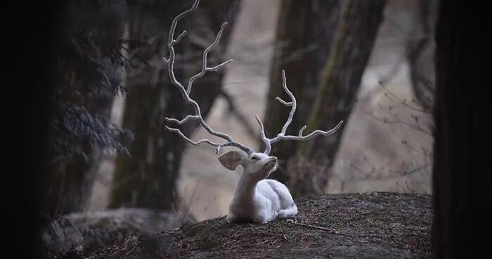 Artist Makes Hyper-Realistic Wool Animal Sculptures Through Needle Felting (18 Pics)