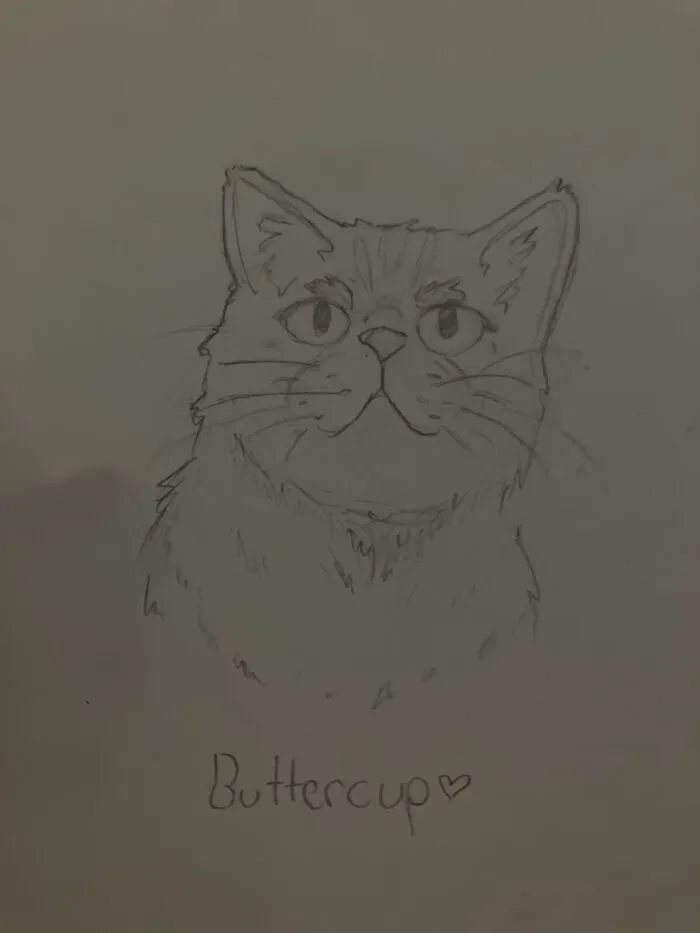 Finishing A Drawing I’m Proud Of… This Is How I Imagine Buttercup From The Hunger Games After Finishing The Books