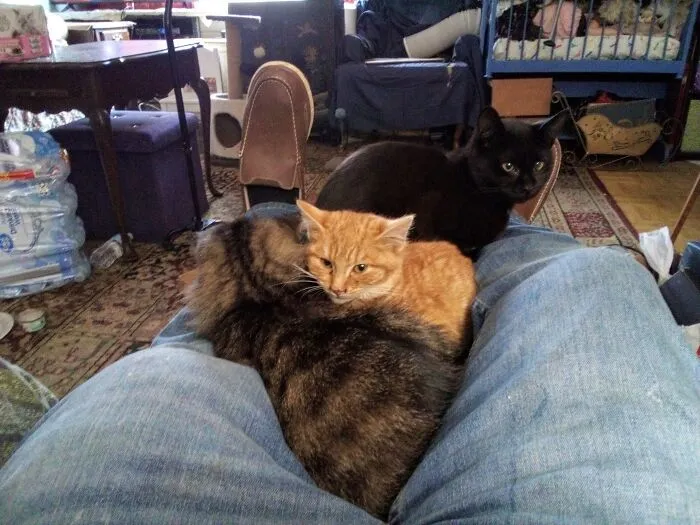 Two Of The Many Things That I Love. They Bring Joy Into My Life