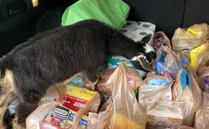 50 Hilarious Pics From ‘Instacart’ Shoppers And Their Customers To Bring A Chuckle To Your Day