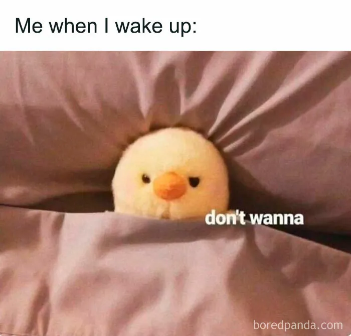 Introvert meme featuring a stuffed toy bird peeking out from under a blanket with text, "don't wanna."