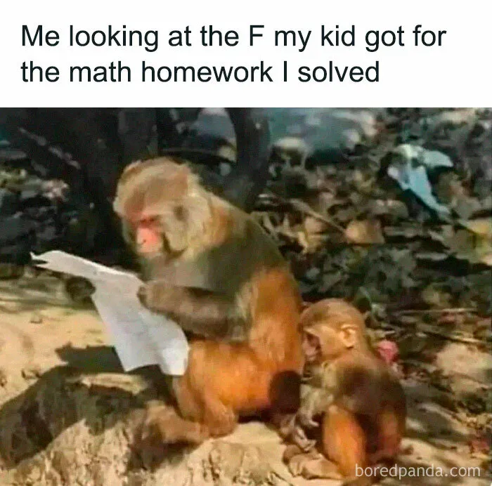 Monkeys examining paper, humorously illustrating introvert meme theme with an F-grade math homework joke.