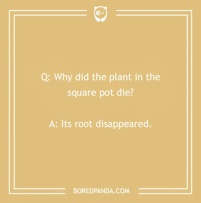 124 Silly Math Jokes And Puns That'll Tickle Your Funny Bone