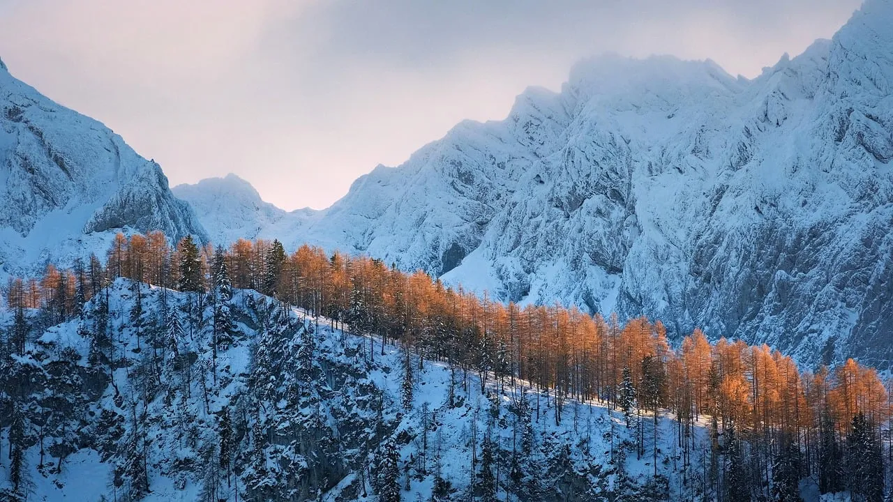 Snowey Mountains