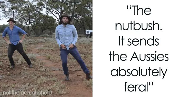 35 Fascinating Things About Australia That Shocked Visitors