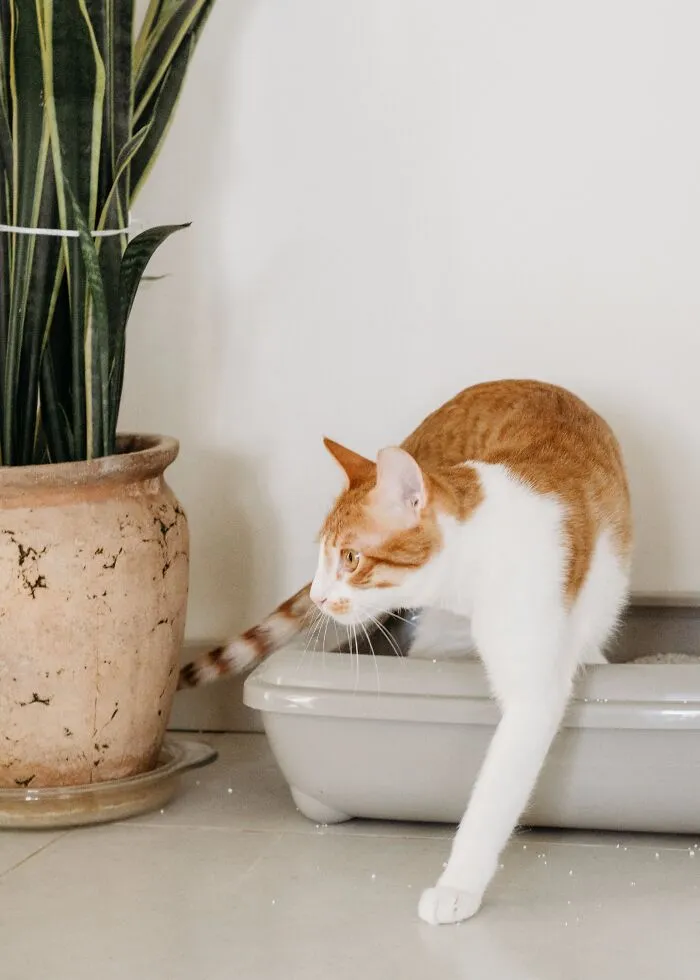 30 Tenants Spill The Tea About Their Landlords From Hell