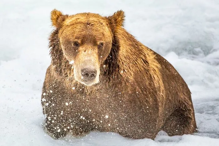 Folks Share The Most Disturbing Things They’ve Seen While Camping And Here Are 30 Of The Scariest