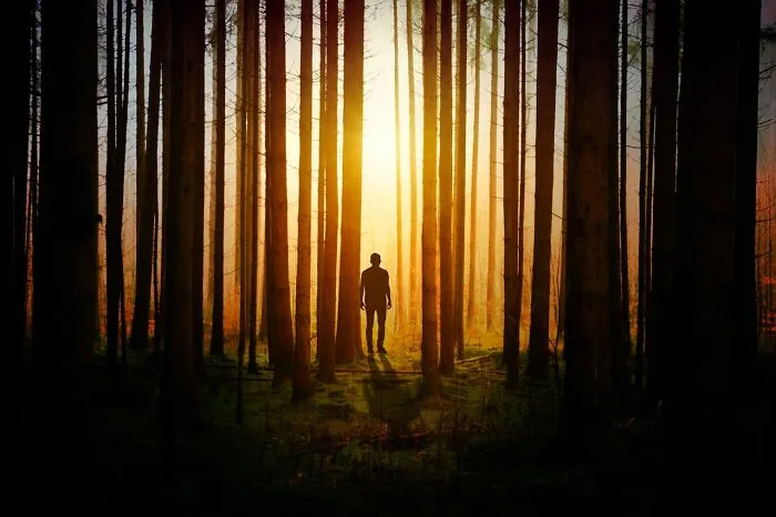 Folks Share The Most Disturbing Things They’ve Seen While Camping And Here Are 30 Of The Scariest