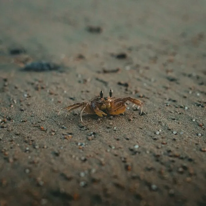 Folks Share The Most Disturbing Things They’ve Seen While Camping And Here Are 30 Of The Scariest