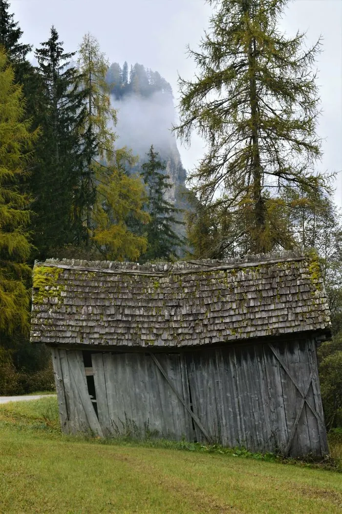 Folks Share The Most Disturbing Things They’ve Seen While Camping And Here Are 30 Of The Scariest