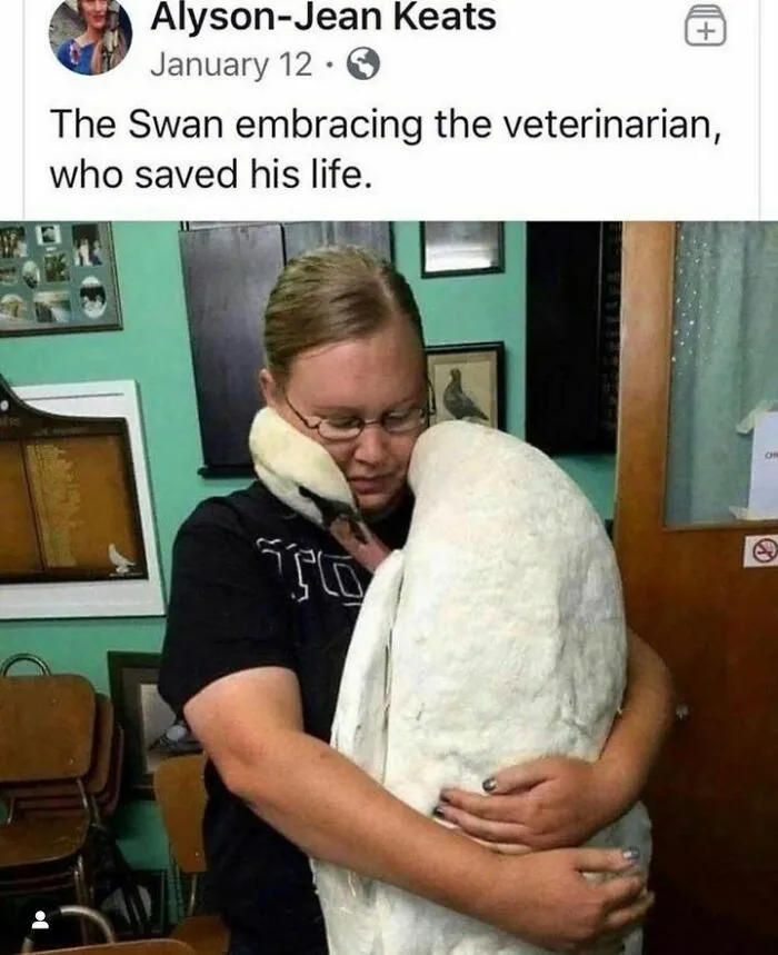 50 Top-Quality Bird Memes To Make You Grin Today, As Shared By This Facebook Page