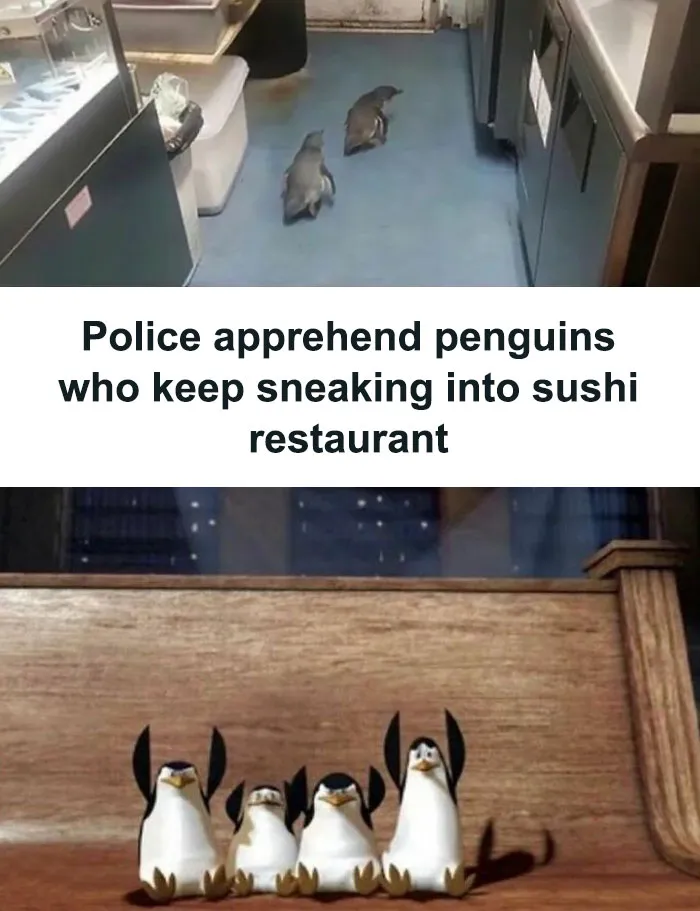 50 Top-Quality Bird Memes To Make You Grin Today, As Shared By This Facebook Page