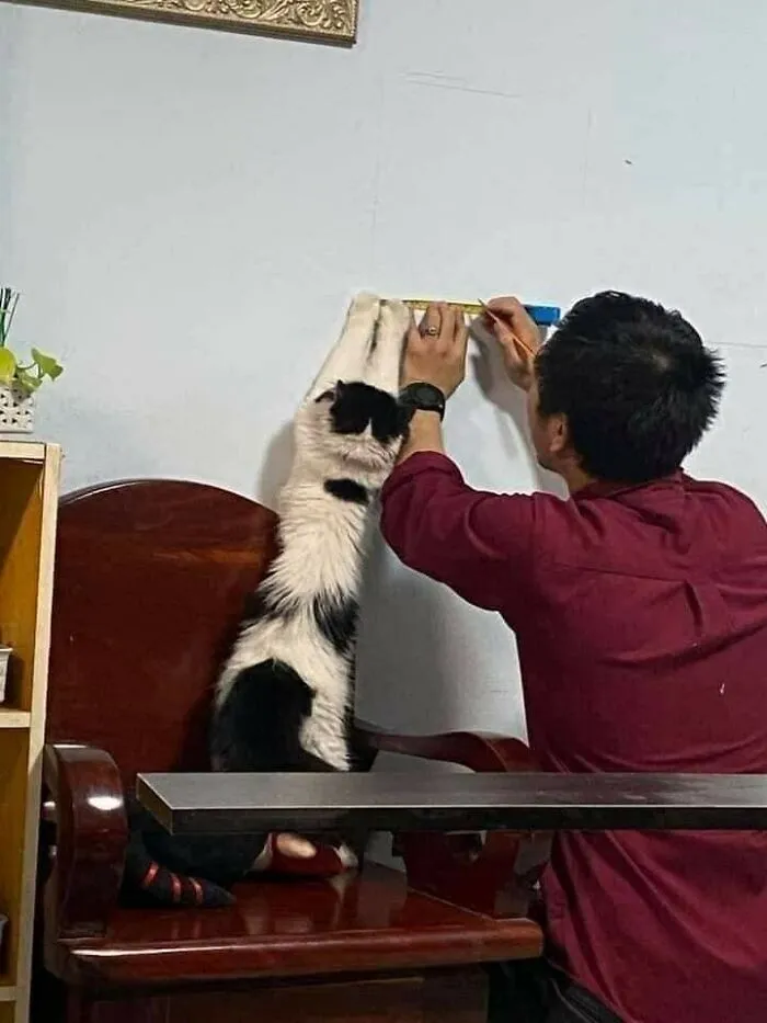 50 Wholesome And Unusual Animal Pics To Give You Some Serious Animal Therapy