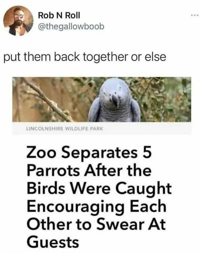 50 Top-Quality Bird Memes To Make You Grin Today, As Shared By This Facebook Page